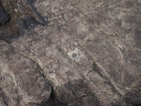 P4292863.v01.jpg