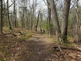 21-20170429_113849.jpg